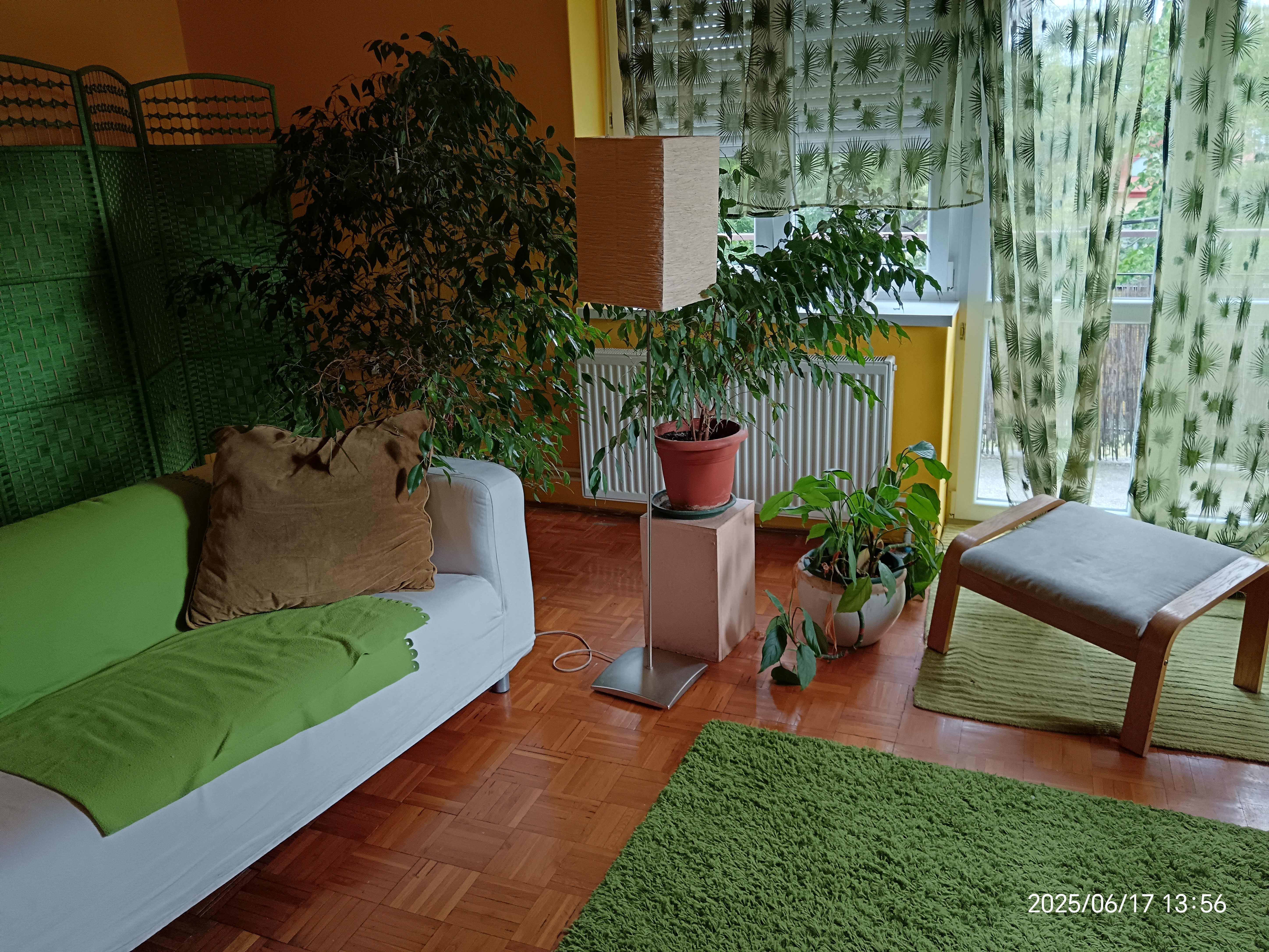 Rendelő – részlet